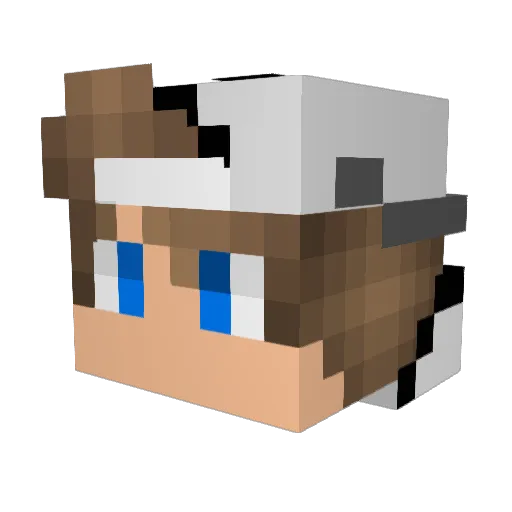IkeaDoggos Minecraft avatar head, 3D render