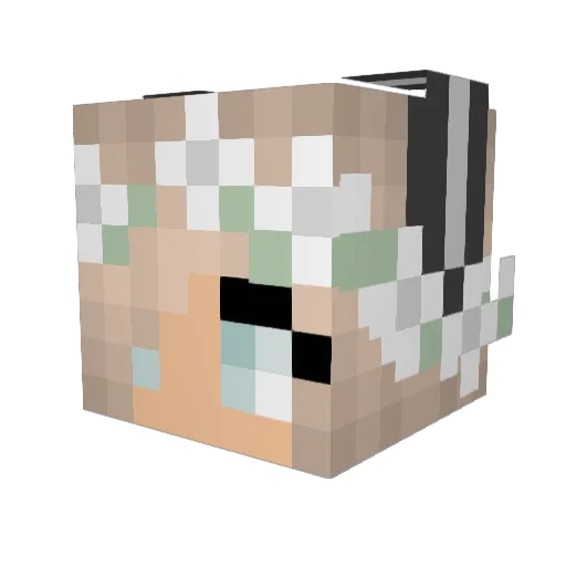 Ikeaman_ Minecraft avatar head, 3D render