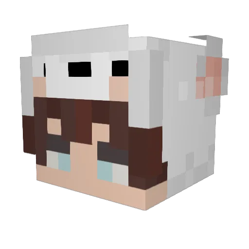 Ikerpolar Minecraft avatar head, 3D render