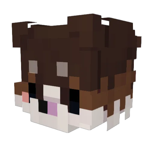 Ikkruna Minecraft avatar head, 3D render