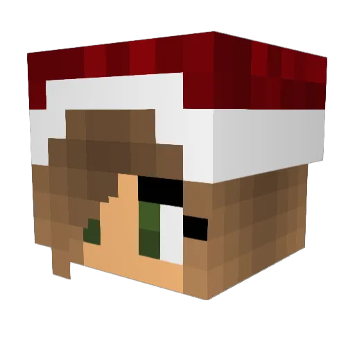 Iko320 Minecraft avatar head, 3D render