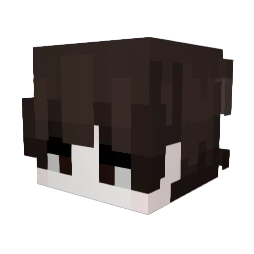 Ikuahx Minecraft avatar head, 3D render