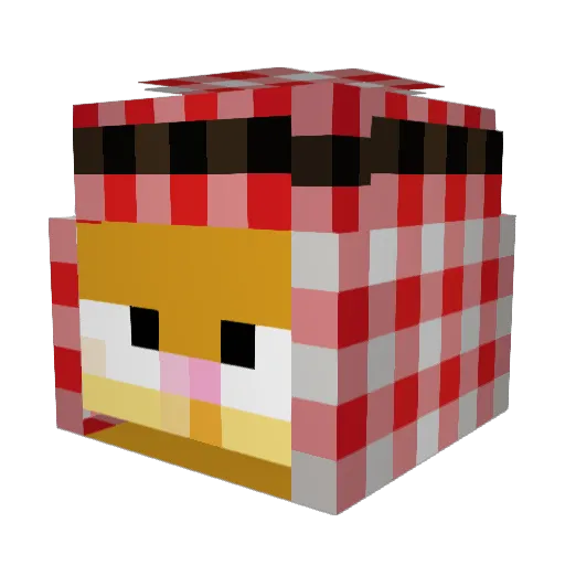 Ikyl Minecraft avatar head, 3D render