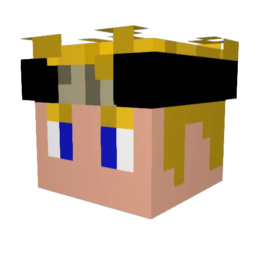 IlFadedIl Minecraft avatar head, 3D render
