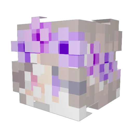 IlS0LATl0N Minecraft avatar head, 3D render