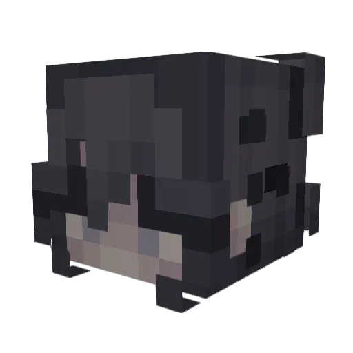Il_Bianchi Minecraft avatar head, 3D render