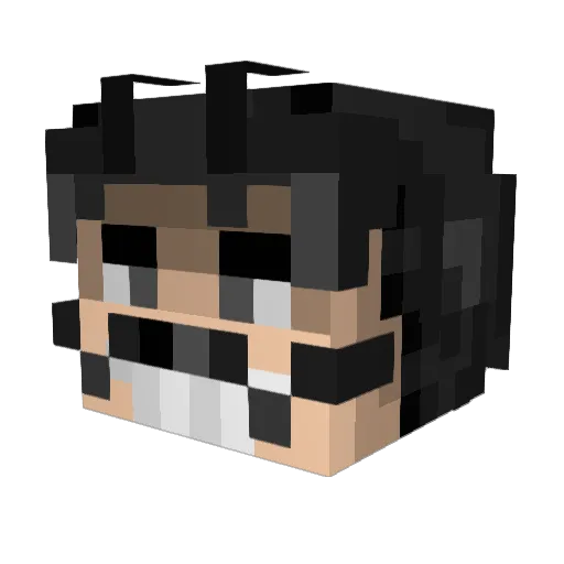 Il_Fattone420 Minecraft avatar head, 3D render