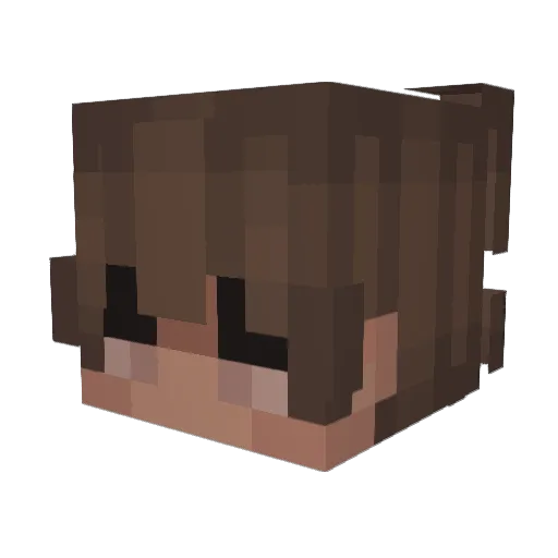 Il_Sessa Minecraft avatar head, 3D render