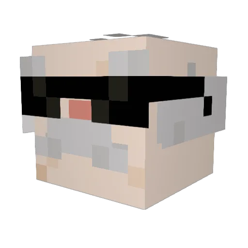 Ilari2009 Minecraft avatar head, 3D render