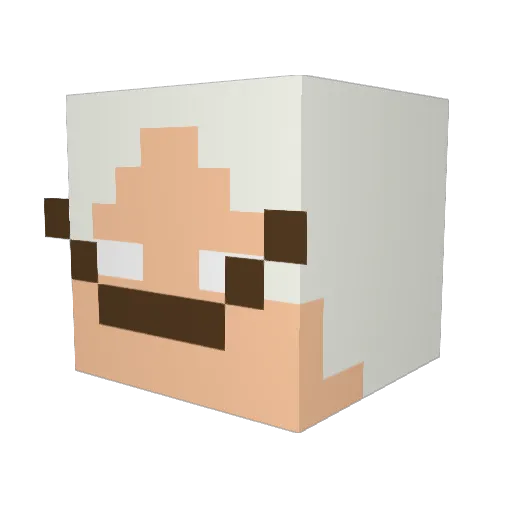 Ilay_16 Minecraft avatar head, 3D render