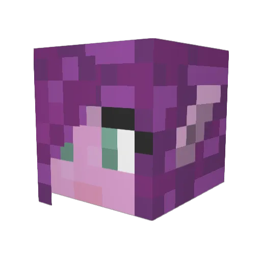 Ildtris Minecraft avatar head, 3D render