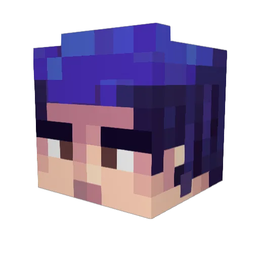 Iliads Minecraft avatar head, 3D render