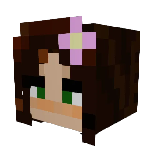 Iliarbitrary Minecraft avatar head, 3D render