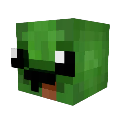 IlikeTurtles213 Minecraft avatar head, 3D render