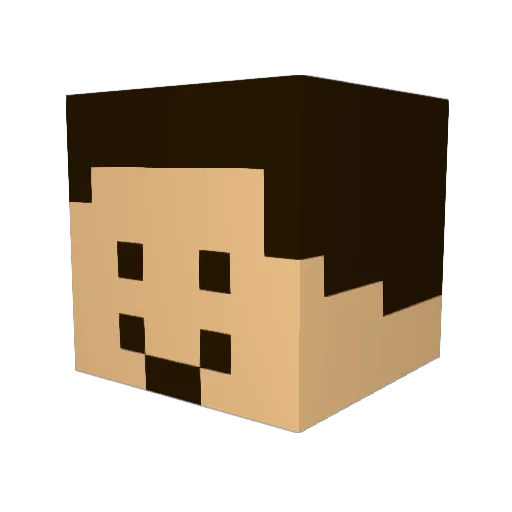 Ilikeairplanes Minecraft avatar head, 3D render