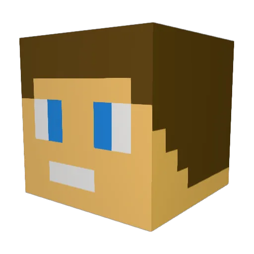 Ilikedogs62 Minecraft avatar head, 3D render