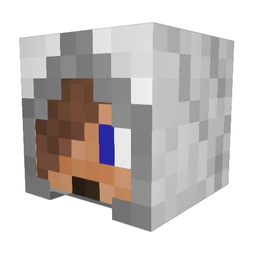 Ilimonster1 Minecraft avatar head, 3D render