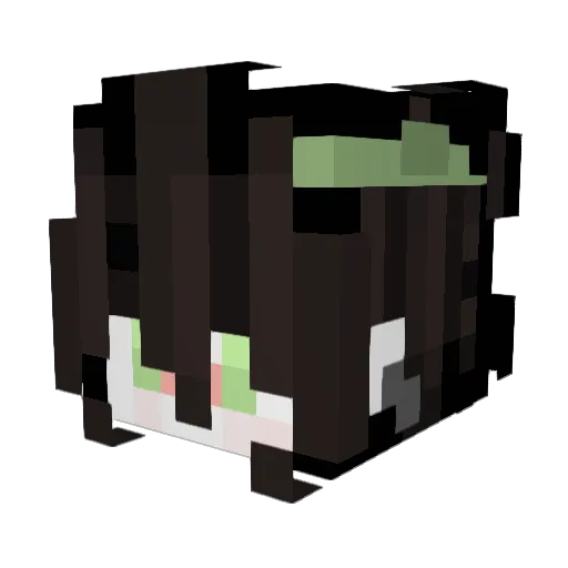 Iliy_de_coy Minecraft avatar head, 3D render