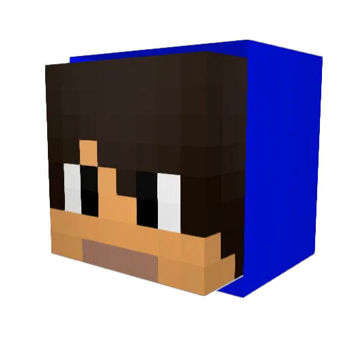 IllIIllDIIllIIl Minecraft avatar head, 3D render