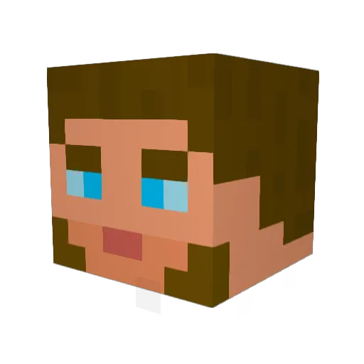 Illbohema Minecraft avatar head, 3D render