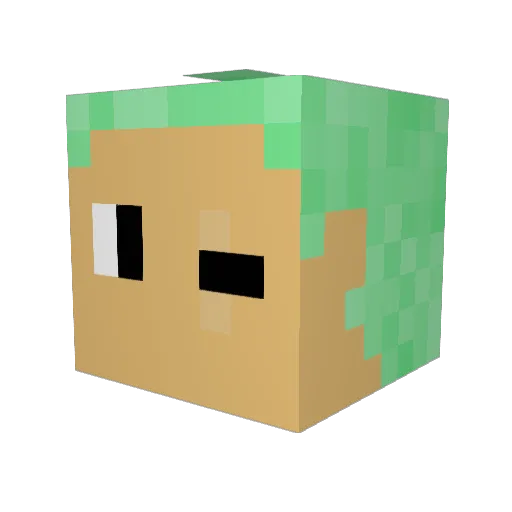 Illec Minecraft avatar head, 3D render