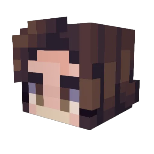 Illeegal Minecraft avatar head, 3D render