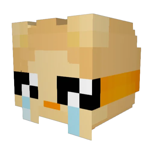 IllegalPotato73 Minecraft avatar head, 3D render