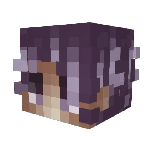 Illisible Minecraft avatar head, 3D render