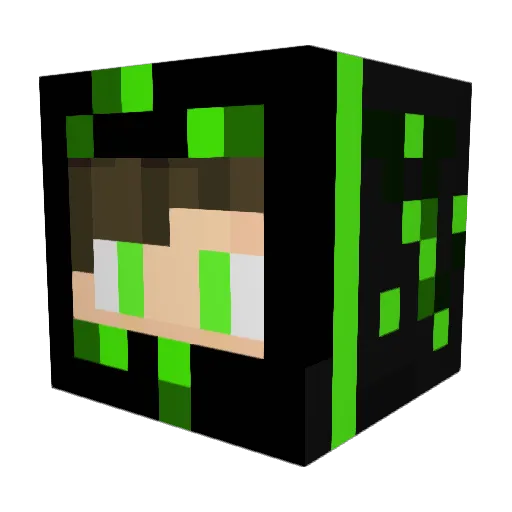 IlliterateOcelot Minecraft avatar head, 3D render