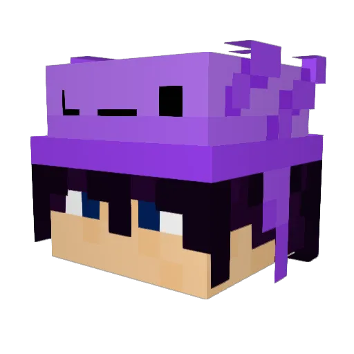 IlluminatedRaven Minecraft avatar head, 3D render