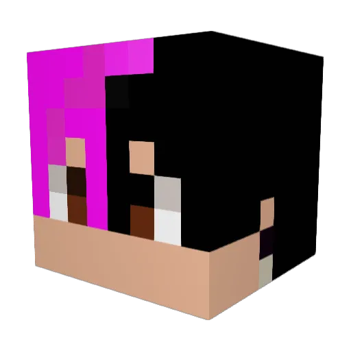 Illuminati09 Minecraft avatar head, 3D render