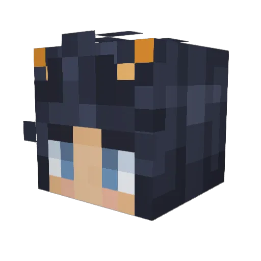 IlluminatiFood2 Minecraft avatar head, 3D render