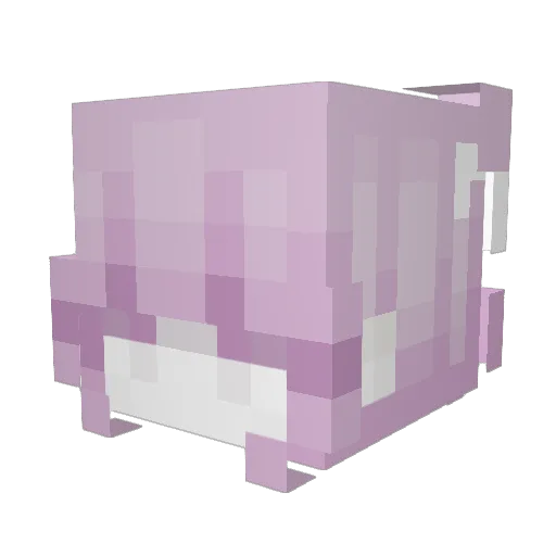 Illuminature Minecraft avatar head, 3D render