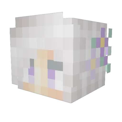 Illusion224 Minecraft avatar head, 3D render