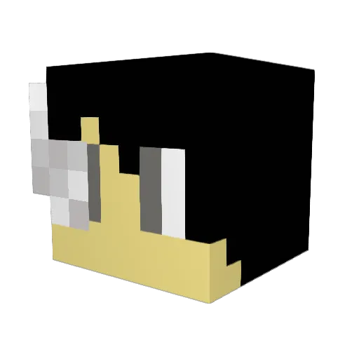 IllusiveAce Minecraft avatar head, 3D render