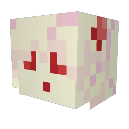IllusorDream Minecraft avatar head, 3D render