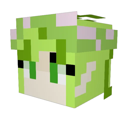 IllyenaCellen Minecraft avatar head, 3D render