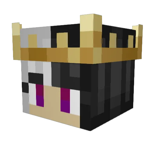 Illyssius Minecraft avatar head, 3D render