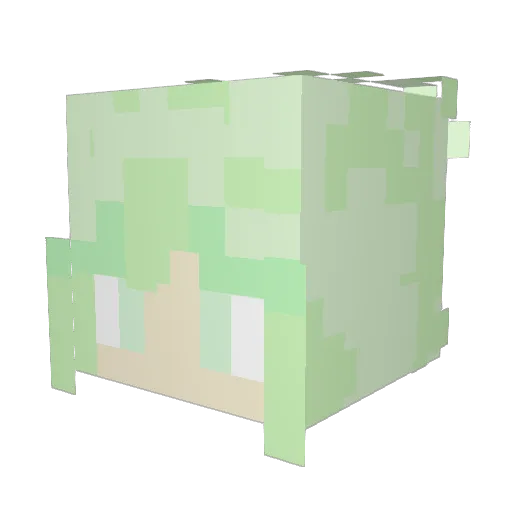 IloeVeri Minecraft avatar head, 3D render