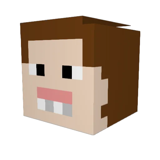 IloilrigIl Minecraft avatar head, 3D render