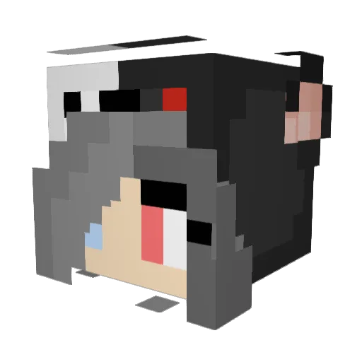 Ilona100 Minecraft avatar head, 3D render