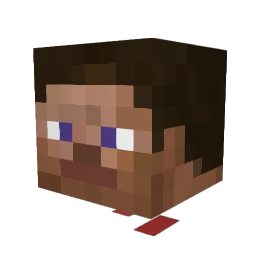 IlovePawsocks_ Minecraft avatar head, 3D render