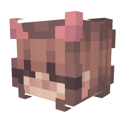 Ilove_SHEEPS1 Minecraft avatar head, 3D render