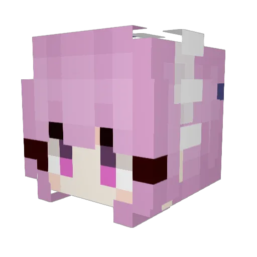 Ilovealpacas Minecraft avatar head, 3D render
