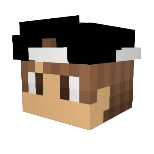 Ilovebasketball Minecraft avatar head, 3D render