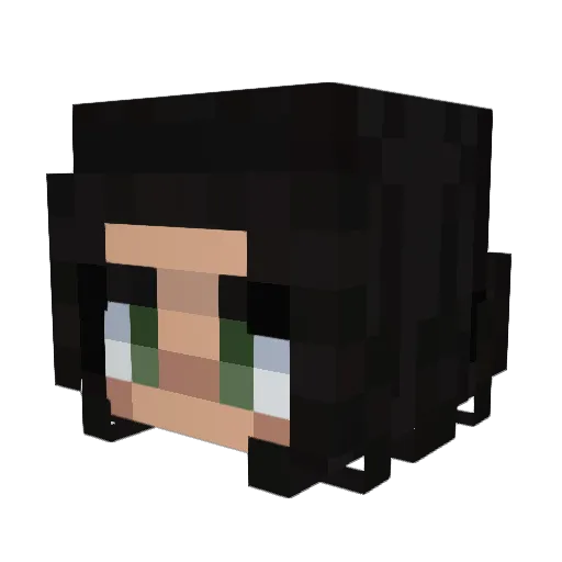 Ilovegregspizza Minecraft avatar head, 3D render
