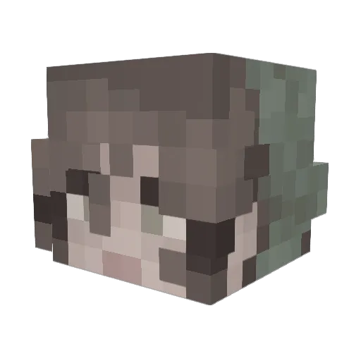Ilovesloppy3000 Minecraft avatar head, 3D render