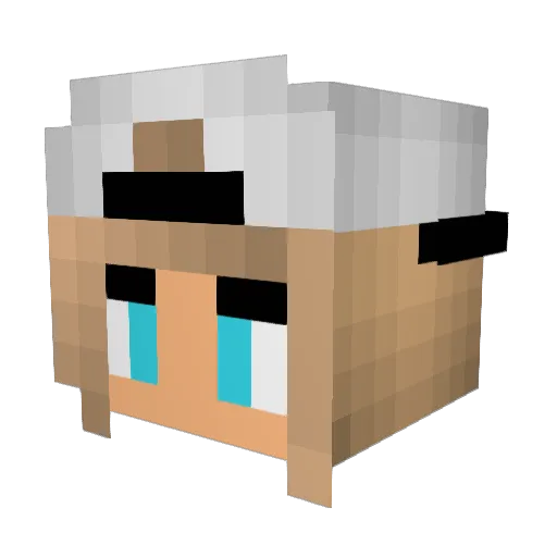 Ilsedv01 Minecraft avatar head, 3D render