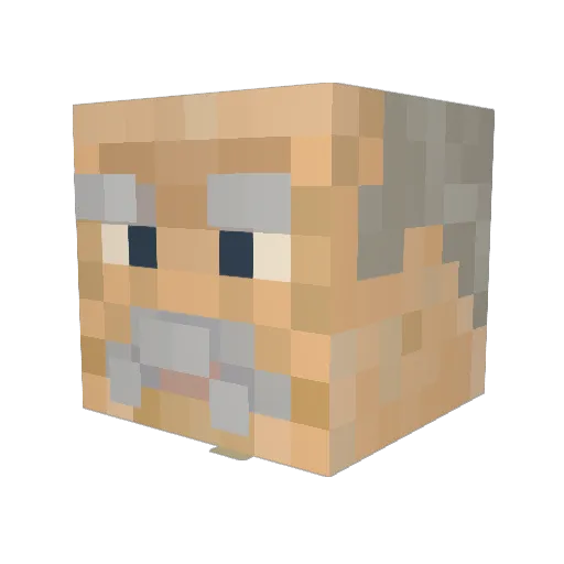 Ilusanos Minecraft avatar head, 3D render