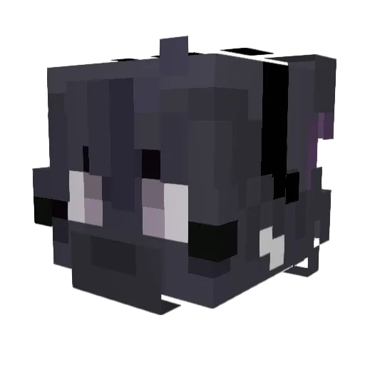 Iluvcheeseburber Minecraft avatar head, 3D render